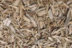 biomass boilers Treviskey